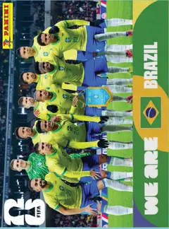 BRA13