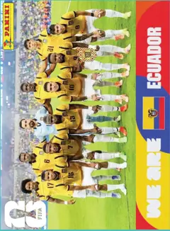 ECU13