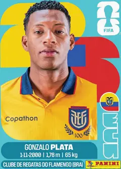 ECU16