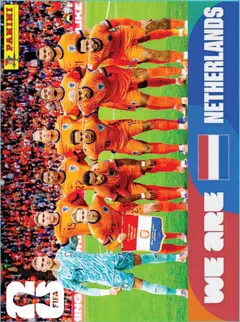 NED13