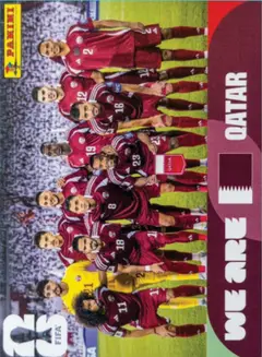 QAT13
