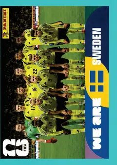 SWE13