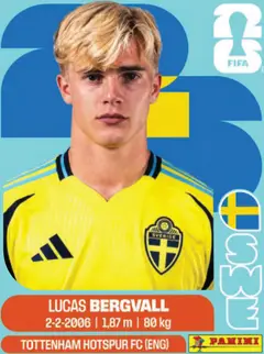 SWE8